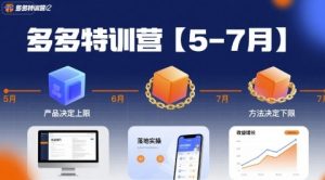 多多特训营【5-7月】产品决定上限，方法决定下限，各种玩法技巧落地实操-KJ分享