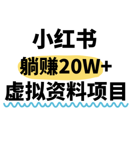 小红书操作虚拟资料，搬运工模式躺挣20W+，互联网的低成本路子！-KJ分享