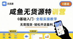 无货源特训营，0基础带你玩转咸鱼无货源-KJ分享