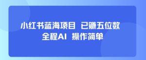 小红书蓝海项目,全程AI,操作简单,已挣五位数-KJ分享