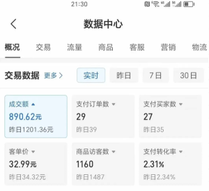 2025版多多冷门虚拟U盘项目玩法，单店铺月变现1w+，稳赚不赔！-KJ分享