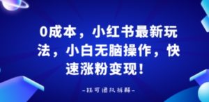 0成本，小红书最新玩法，小白无脑操作，快速涨粉变现-KJ分享