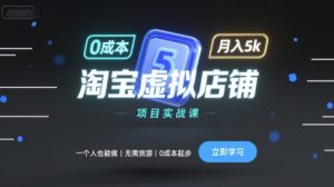 淘宝虚拟店铺项目实战课，一个人也能做，无需货源、0成本起步，月入5k-KJ分享