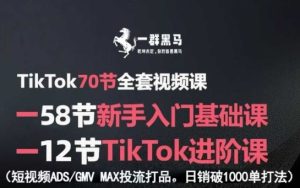 TikTok全套视频课,新手入门+进阶课,短视频ADS-GMV MAX投流打品,日销破1000单打法-KJ分享