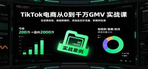 TikTok电商从0到千万GMV实战课,含逆袭经验、新趋势解析,讲选品定价流量,附案例实操-KJ分享