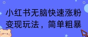 小红书无脑快速涨粉变现玩法,简单粗暴-KJ分享