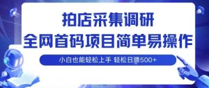 拍店采集调研,全网首码项目,简单易操作, 小白也能轻松上手,多账号操作,轻松日入5张-KJ分享