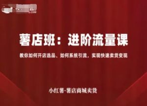 小红薯薯店商城卖货,进阶流量课,教你如何开店选品、如何系统引流,实现快速卖货变现-KJ分享