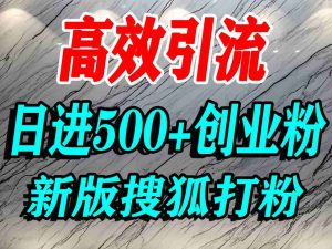 怎么打创业粉？搜狐网打精准创业粉，打粉引流教程，单人日引500+精准创业粉-KJ分享