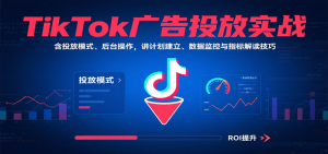 TikTok广告投放实战,含投放模式、后台操作,讲计划建立、数据监控与指标解读技巧-KJ分享