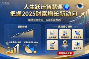 人生跃迁智慧课，把据2025财富增长新动向-KJ分享