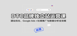DTC品牌独立站运营课:建站优化、Google Ads + 社媒推广与数据分析全攻略-KJ分享