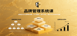 品牌管理系统课:战略定位与消费者洞察,DTC案例、资产评估,增长与公关体系搭建-KJ分享