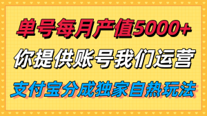 单月产值5000+，支付宝分成代运营，你提供账号坐等分钱，我们帮你运营-KJ分享
