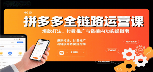 拼多多全链路运营课,爆款打法、付费推广与链接内功实操指南-KJ分享