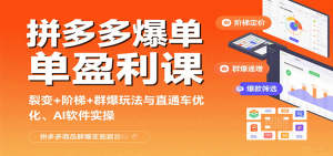 拼多多爆单盈利课：裂变+阶梯+群爆玩法与直通车优化、AI 软件实操-KJ分享