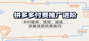 拼多多付费推广进阶,ROI提效、流控、选品、诊断及防坑等技巧-KJ分享