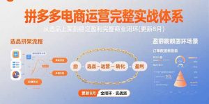拼多多电商运营完整实战体系,从选品上架到稳定盈利完整商业闭环(更新8月)-KJ分享