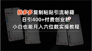 拼多多复制粘贴引流秘籍，日引400+付费创业粉，小白也能月入六位数实操…-KJ分享
