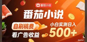 稳定3年官方番茄小说自刷稿费小白单日500+-KJ分享