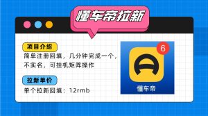 懂车帝邪修拉新玩法，简单注册回填，不sm，单个拉新12rmb，轻松日入200+-KJ分享