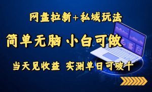 网盘拉新+私域玩法,简单无脑,小白可做,当天见收益,实测单日可破千-KJ分享