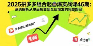 2025拼多多组合起爆实战课46期：系统解析从单品裂变到全店爆发的完整路径-KJ分享