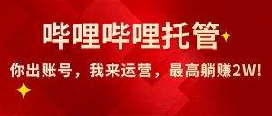 【哔哩哔哩托管】AI短视频带货，你出账号，我来运营，最高躺赚2W!-KJ分享