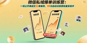 微信私域爆单训练营:一场公开课成交33单案例,99元自动训练营批量变现术-KJ分享