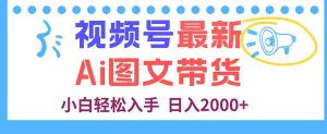 视频号最新AI图文带货,每天几分钟,小白轻松入手,日入2000+-KJ分享
