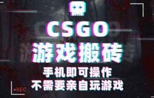 CSGO游戏挂机捡漏,单日扫货500+,年底小高峰上车可吃肉,手机即可操作…-KJ分享