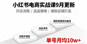 小红书电商实战课9月更新，开店流程/选品策略/爆款店铺打造，单号月均10w+-KJ分享
