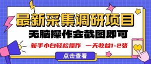 新版采集调研项目，截图上传即可，无脑操作，日收益1-2张-KJ分享