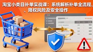 淘宝小类目补单实战课：系统解析补单全流程、降权风险及安全操作-KJ分享