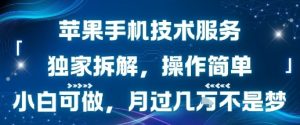 苹果手机技术服务,独家拆解,操作简单,小白可做,月过1W不是梦-KJ分享