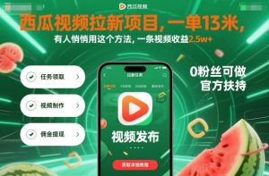 西瓜视频拉新项目，一单13米，有人悄悄用这个方法，一条视频收益2.5w+（附详细教程）-KJ分享