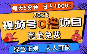 2025视频号0撸项目,5分钟一个号,日入1000+,人人可做-KJ分享