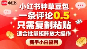 小红书种草豆包,一条评论0.5,只需复制粘贴,适合批量矩阵放大操作,新手小白福利-KJ分享