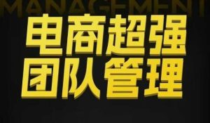 电商超强团队管理,组织绩效,到用人执行,分权合伙-KJ分享