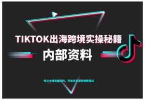 TikTok跨境电商0-1搭建运营,TK出海跨境实操秘籍(10月更新)-KJ分享
