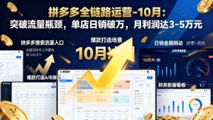 拼多多全链路运营-10月：突破流量瓶颈，单店日销破万，月利润达3-5万元-KJ分享