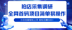 拍店采集调研，全网首码项目，简单易操作， 小白也能轻松上手，轻松日赚500+-KJ分享