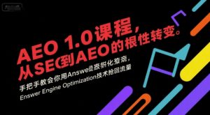 AEO 1.0 课程，从SEO到AE0的基命性转变，手把手教会你用AnswerEngineOptimization技术抢回流量（更新）-KJ分享