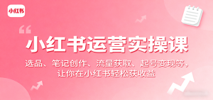 小红书运营实操课：选品、笔记创作、流量获取、起号变现等，让你在小红书轻松获收益-KJ分享