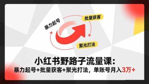 小红书野路子流量课：暴力起号+批量获客+聚光打法，单账号月入3万+-KJ分享