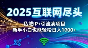 2025网创尽头王炸项目!私域IP+精准引流,新手小白在家躺賺日入1k,零经验也能上手-KJ分享