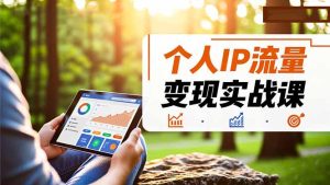 个人IP流量变现实战课，涵盖多平台引流、打造个人IP并实现稳定流量变现-KJ分享