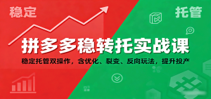 拼多多稳转托实战课：稳定托管双操作，含优化、裂变、反向玩法，提升投产-KJ分享