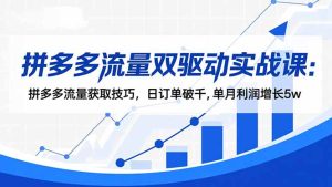 拼多多流量双驱动实战课：拼多多流量获取技巧，日订单破千,单月利润增长5w-KJ分享