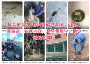 抖音某大V万物科普解说课程,可进抖音精选,独家内容,超干货教学,助你涨粉又賺钱-KJ分享